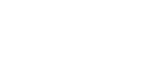 evonik